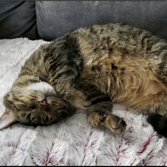 Muggles - Picture 2 of 6